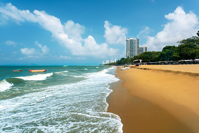 Pattaya Private Day Tour from Bangkok or Pattaya - The private driver can make or break the day