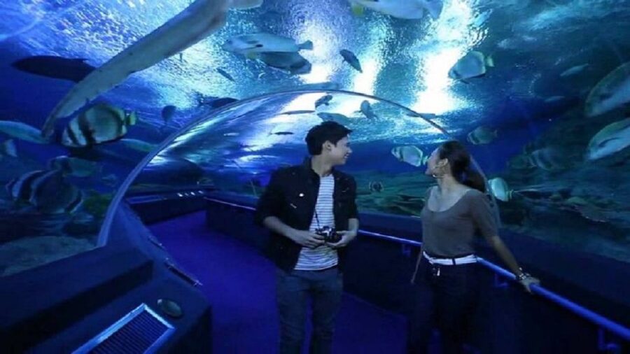 Pattaya: Underwater World Pattaya Aquarium Admission Ticket - Presenting your voucher at the entrance