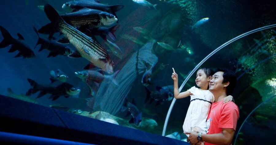 Pattaya: Underwater World Pattaya Aquarium Admission Ticket - Sharks and stingrays above the tunnel