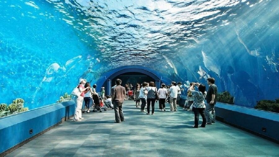 Pattaya: Underwater World Pattaya Aquarium Admission Ticket - The Touch Pool Zone for hands-on learning