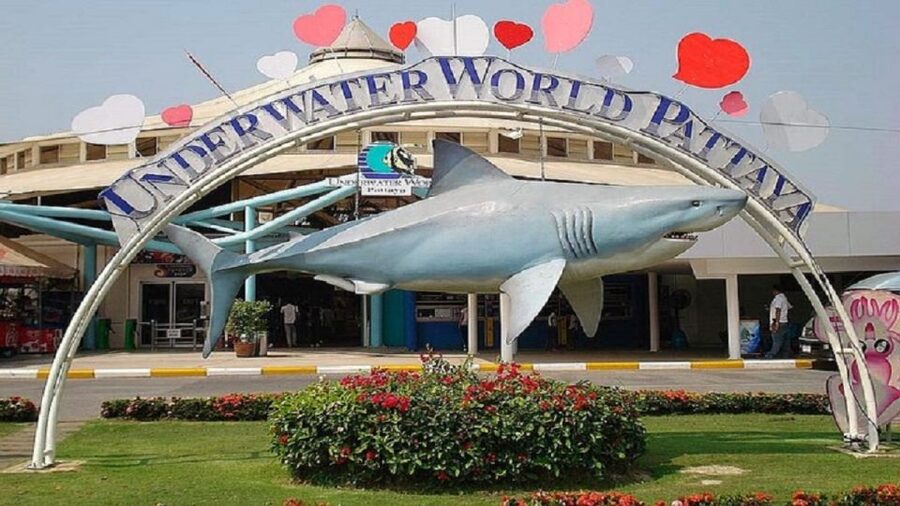 Pattaya: Underwater World Pattaya Aquarium Admission Ticket - How the one-day ticket works