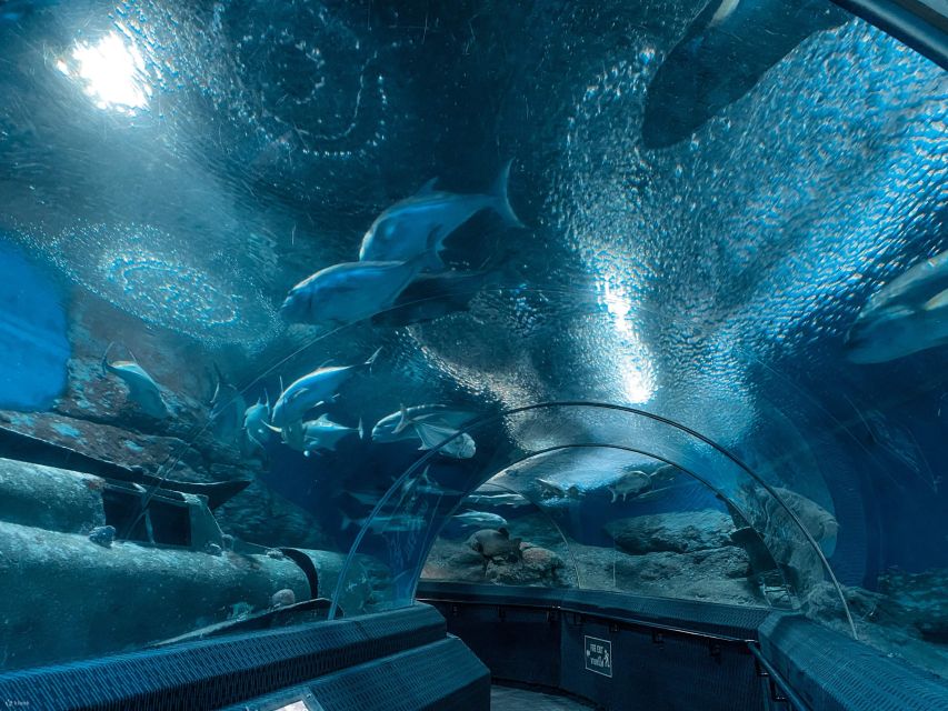 Pattaya: Underwater World Pattaya Aquarium Admission Ticket - Coral Reef Zone and Thailand’s marine life