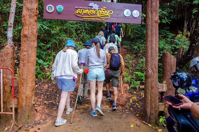 Pha Dok Siew Nature Trail & Doi Inthanon National Park From Chiang Mai - Wachirathan Falls brings the first big rush of water