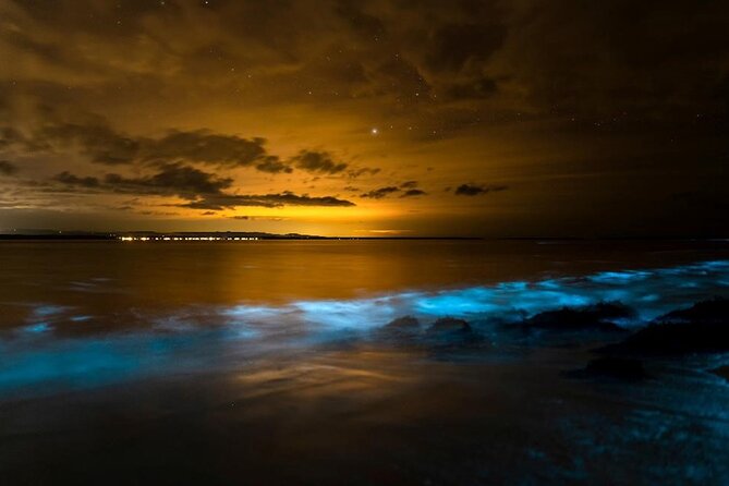Phang Nga Bay Private Bioluminescence and Sea Canoeing Tour - Phanak Island, caves, and playful monkeys