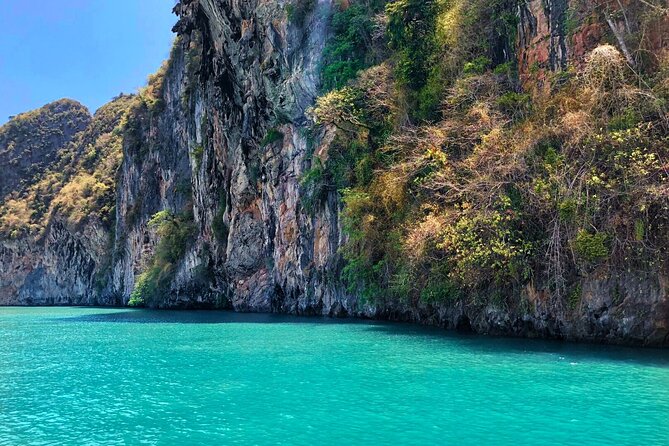 Phang Nga Bay Private Bioluminescence and Sea Canoeing Tour - What is included, and what costs extra