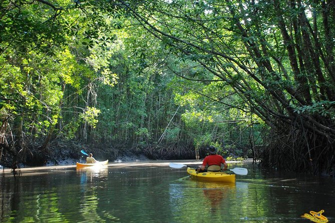Phang Nga Bay Starlight by John Gray Sea Canoe - Entering the hongs by canoe