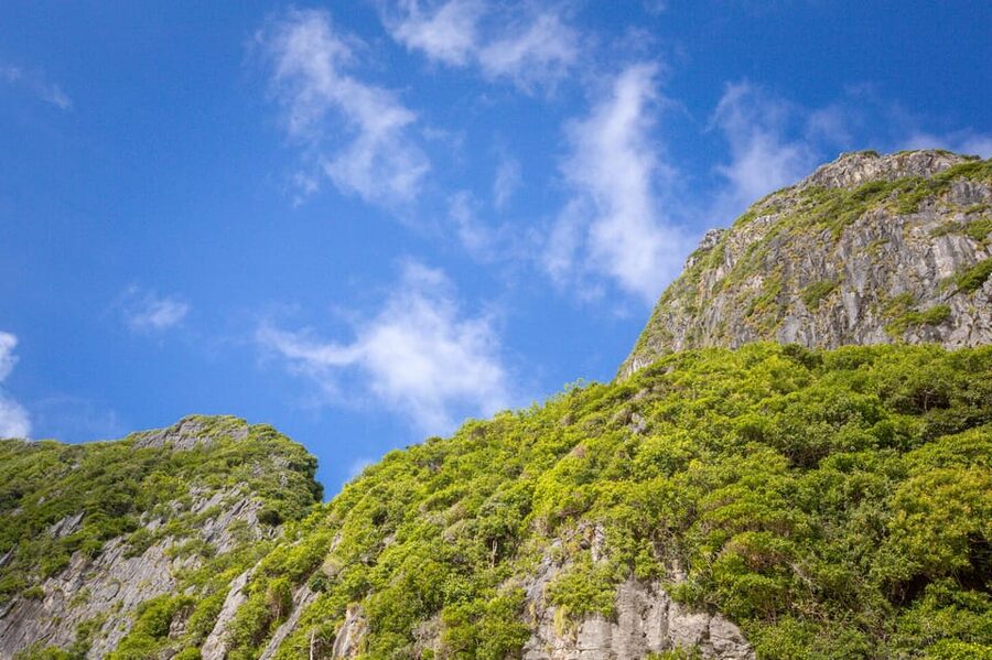 Phi Phi: 7 Island Day Tour by Longtail Boat - Pi Leh Lagoon: the best water stop for many people