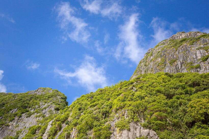 Phi Phi: 7 Island Day Tour by Longtail Boat - Maya Bay: the famous stop needs patience