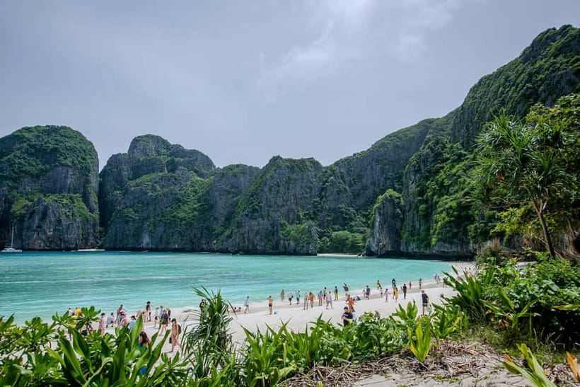 Phi Phi: 7 Island Longtail Boat Snorkeling Tour with Sunset - Shark Point brings the day’s most exciting wildlife