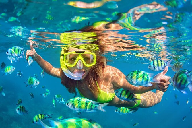 Phi Phi & Bamboo Islands Snorkeling Tour with Lunch by Speedboat - Royal Phuket Marina starts the day