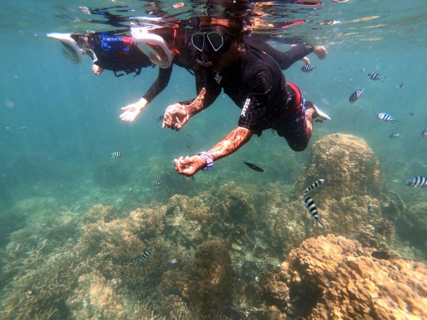 Phi Phi: Half-Day Phi Phi Snorkeling Trip by Longtail Boat - Who should book this Phi Phi boat trip?