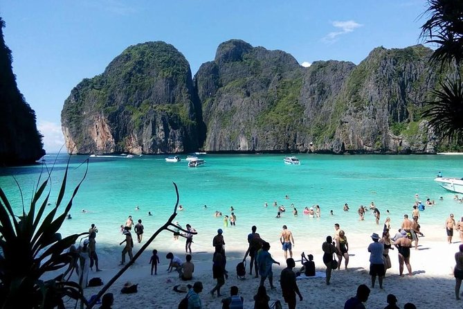 Phi Phi Island Big Boat Tour – Snorkeling, Beaches & Scenic Views - Group size, comfort, and service concerns