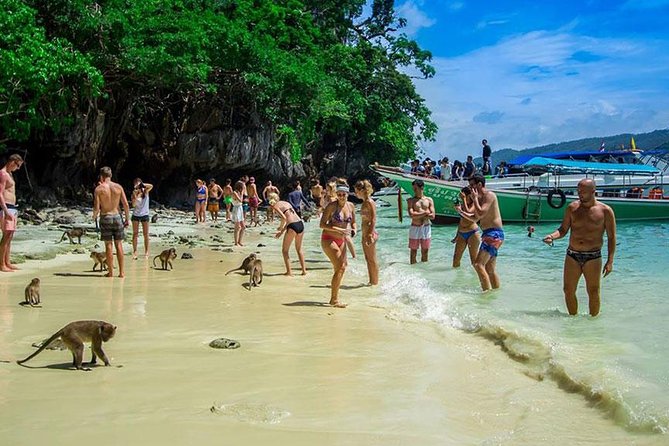 Phi Phi Island Half Day Tour From Phi Phi by Longtail Boat - Viking Cave is mainly a boat-side sight