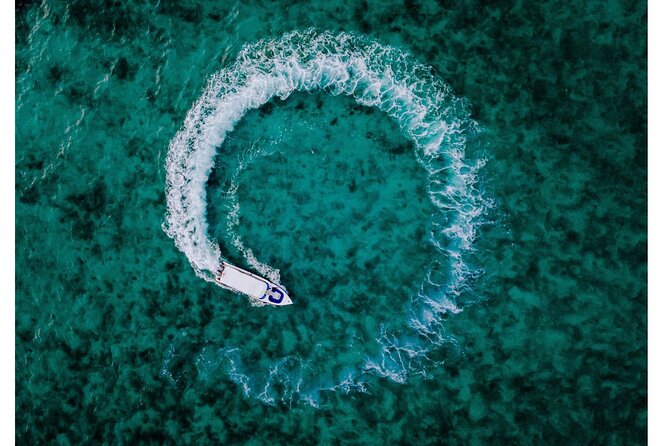 Phi Phi Islands Speedboat Tour Adventure from Krabi - What You Get for $48.88