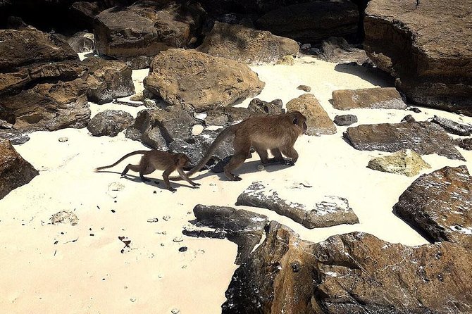 Phi Phi, Maiton, Khai Island Sunset Romantic Trip By Phuket Seahorse Marine - Who will enjoy this boat trip most