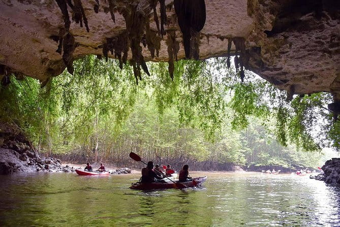 Phi Phi, Maya and Bamboo Islands Day Tour by Speedboat in Krabi - Loh Samah Bay: the most important snorkeling question