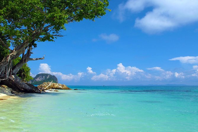 Phi Phi & Maya Bay Speedboat: All-Day Food & Choice of 3 Marinas - Lunch on Phi Phi Don