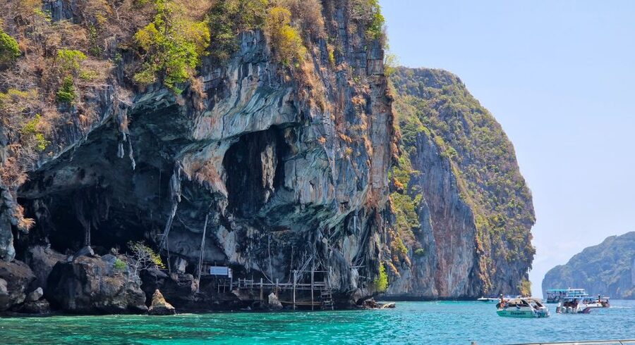 Phi Phi: Morning Speedboat Tour to Maya Bay with Snorkel - What the $51 price really covers