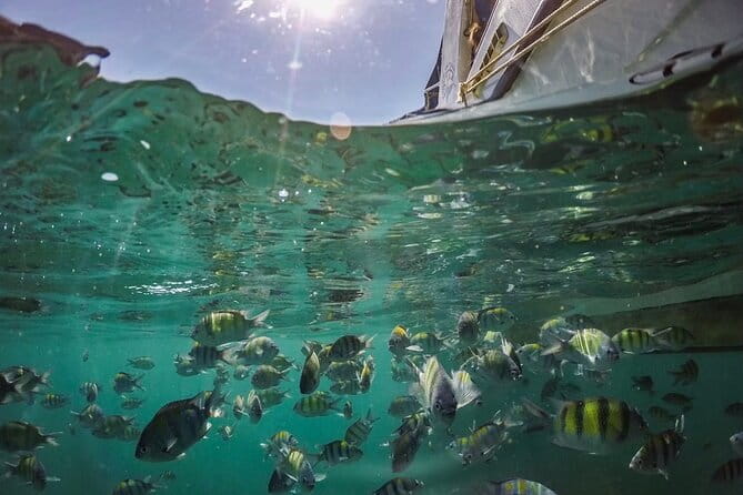 Phi Phi with Maya and Bamboo Island Day Trip by Speedboat - The guides make a crowded day easier