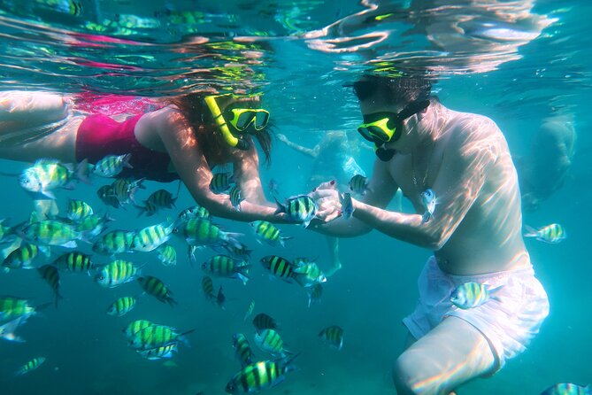 Phuket 3 Khai Island Speedboat With Snorkeling (Half or Full Day) - What This Phuket Island Tour Is Really Like