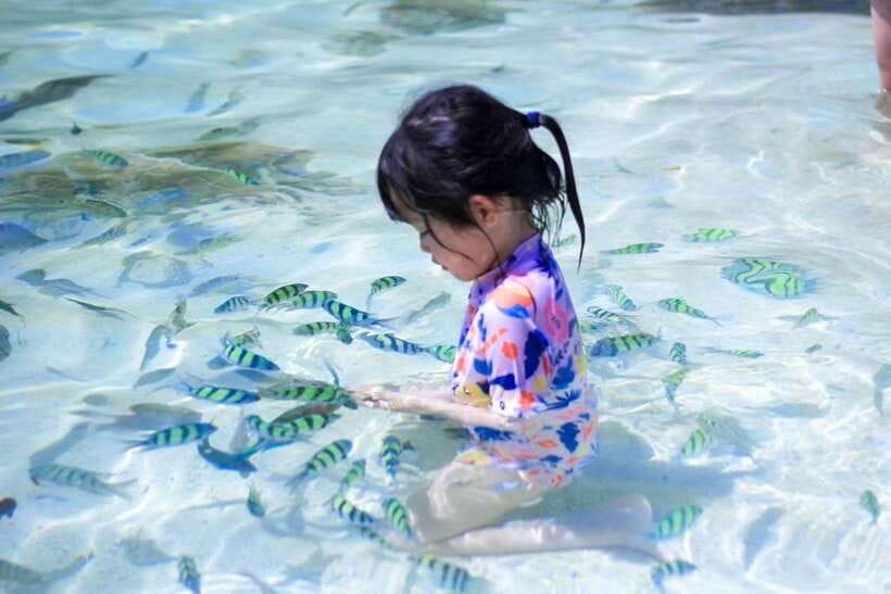 Phuket: 3 Khai Islands Relax & Snorkeling Half/Full Day Tour - Hotel transfers and the cost of convenience