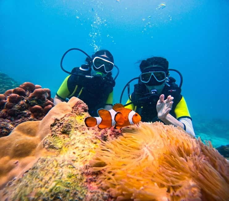 Phuket: 3 Khai Islands Speedboat Tour- Snorkeling & Relaxing - What the $26 price really gets you