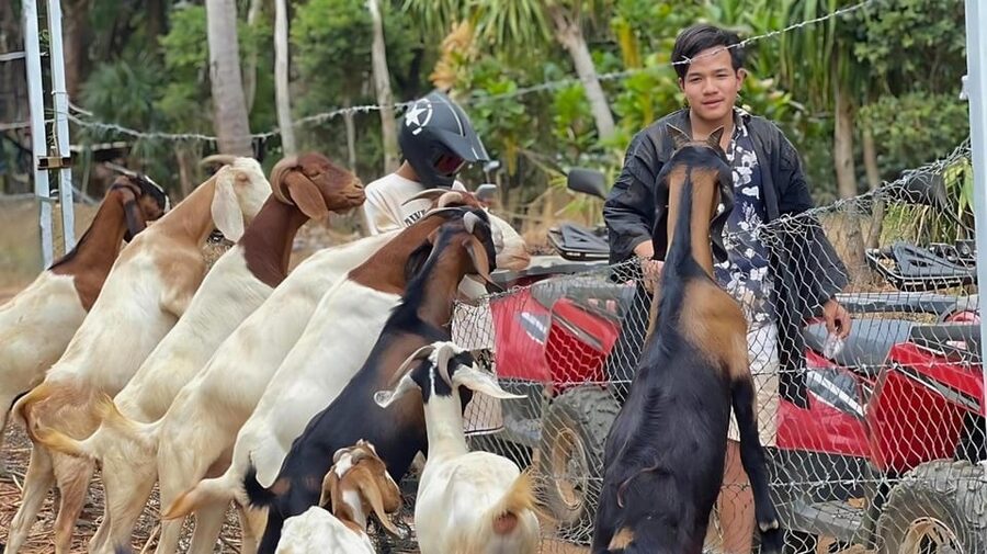 Phuket: ATV Ride with Secret Sea Viewpoints and Swing - Bamboo coffee, Thai fruit, and the goat stop