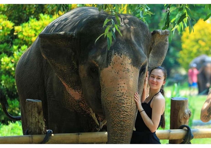 Phuket: Bamboo Rafting & ATV Ride (Optional) - Lunch, fruit, and a useful midday break