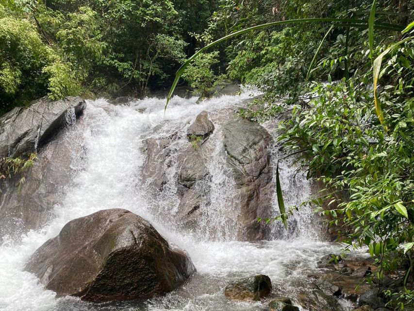 Phuket: Bamboo Rafting, Monkey Cave, and ATV Option - A proper Thai lunch, not just a snack stop