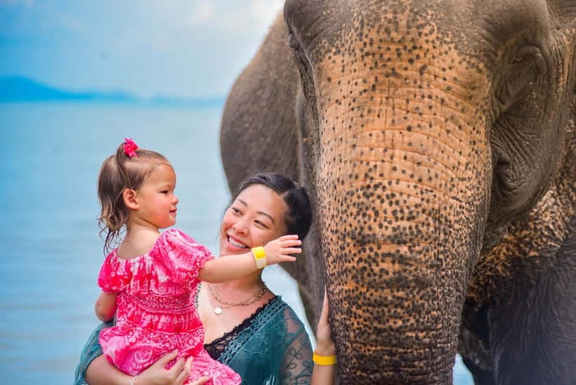 Phuket:Beach walk with elephants, rain & care. 2.5 hours - Key points before you book