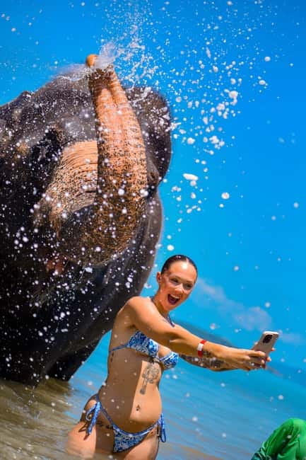 Phuket:Beach walk with elephants, rain & care. 2.5 hours - Is Lily Elephant Camp worth booking?