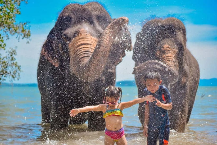 Phuket:Beach walk with elephants, rain & care. 2.5 hours - Arriving at Lily Elephant Camp in Yamu