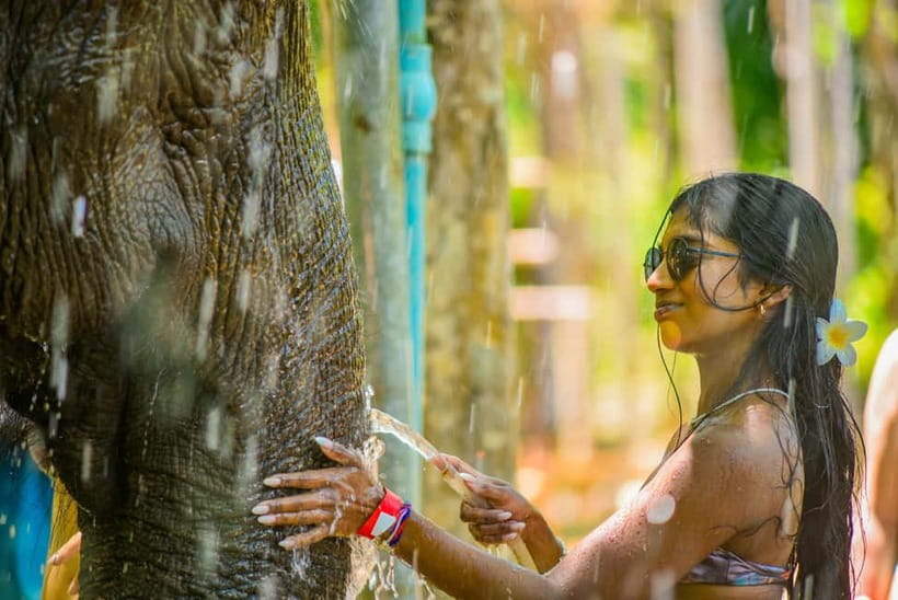 Phuket:Beach walk with elephants, rain & care. 2.5 hours - Walking through nature toward the private beach