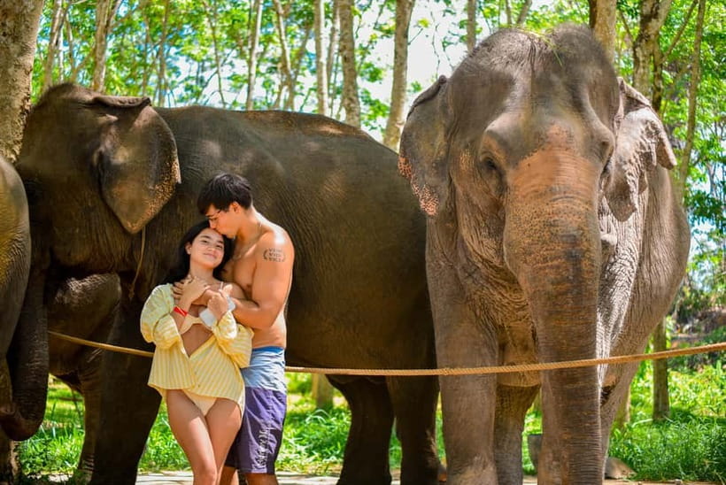 Phuket:Beach walk with elephants, rain & care. 2.5 hours - A short lesson before you meet the elephants
