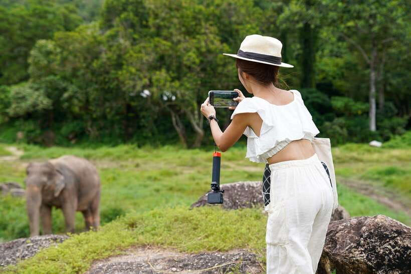 Phuket: Bukit Elephant Park Sanctuary Walk and Feed Tour - Is $51 good value?