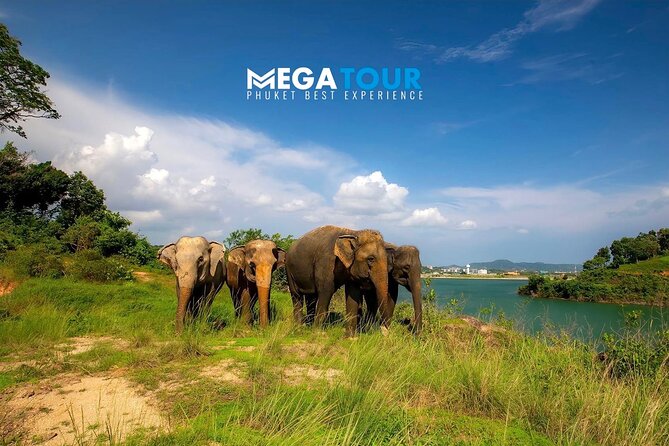 Phuket City Tour & Elephant Sanctuary – Town, Temple, Food & View - A-Pong gives the afternoon a crisp start