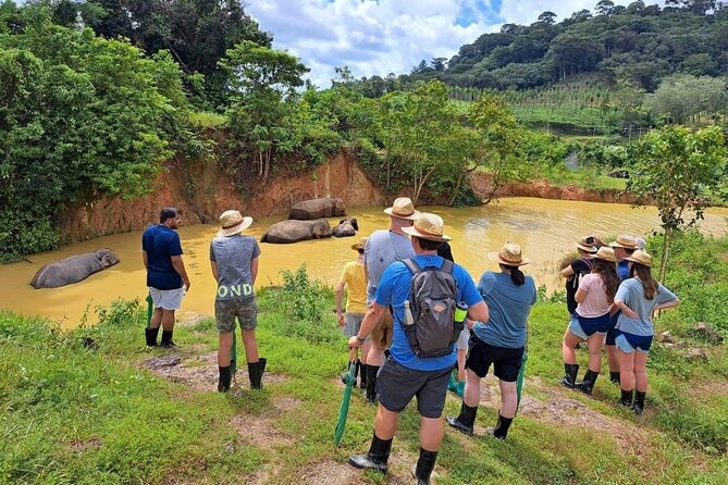 Phuket City Tour & Elephant Sanctuary – Town, Temple, Food & View - Wat Chalong adds local ritual and quiet