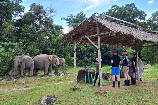 Phuket City Tour & Elephant Sanctuary – Town, Temple, Food & View - Big Buddha comes with an important warning