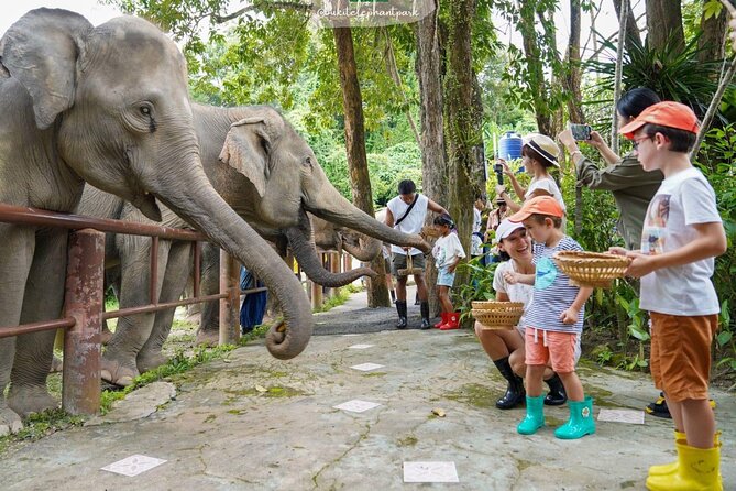 Phuket City Tour & Elephant Sanctuary – Town, Temple, Food & View - Old Phuket Town shows the island’s mixed past