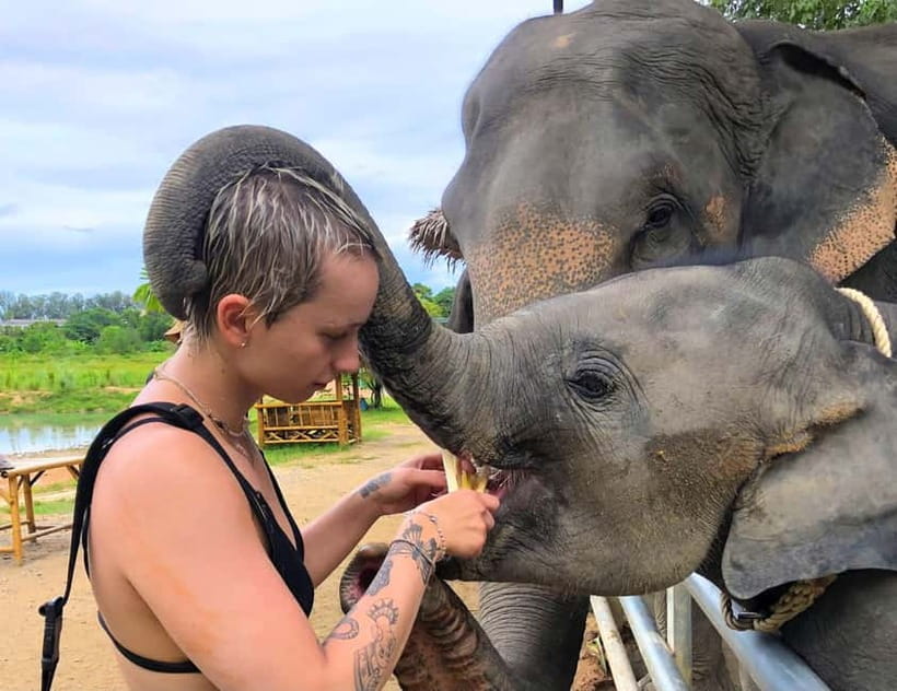 Phuket City Tour with Night Market Visit & Elephant Feeding - What this six-hour Phuket tour is really like