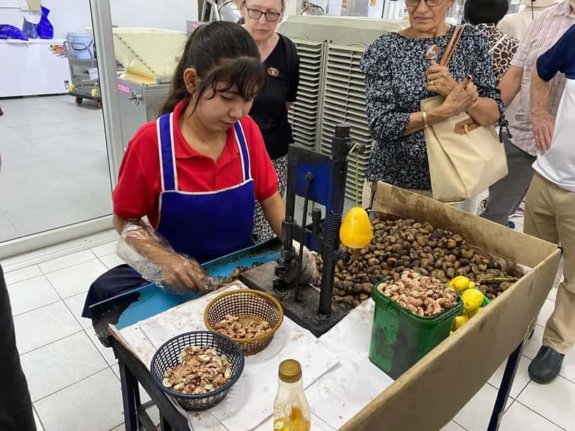 Phuket City Tour with Night Market Visit & Elephant Feeding - Cashew factory visit: a short look at local production
