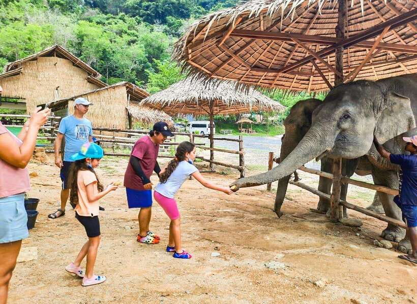 Phuket City Tour with Viewpoints, Temples & Elephant Feeding - Wat Chalong: Phuket’s most important temple stop
