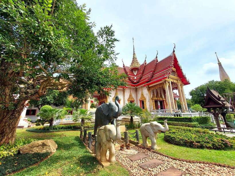 Phuket City Tour with Viewpoints, Temples & Elephant Feeding - Khao Rang Hill and the changing Big Buddha view