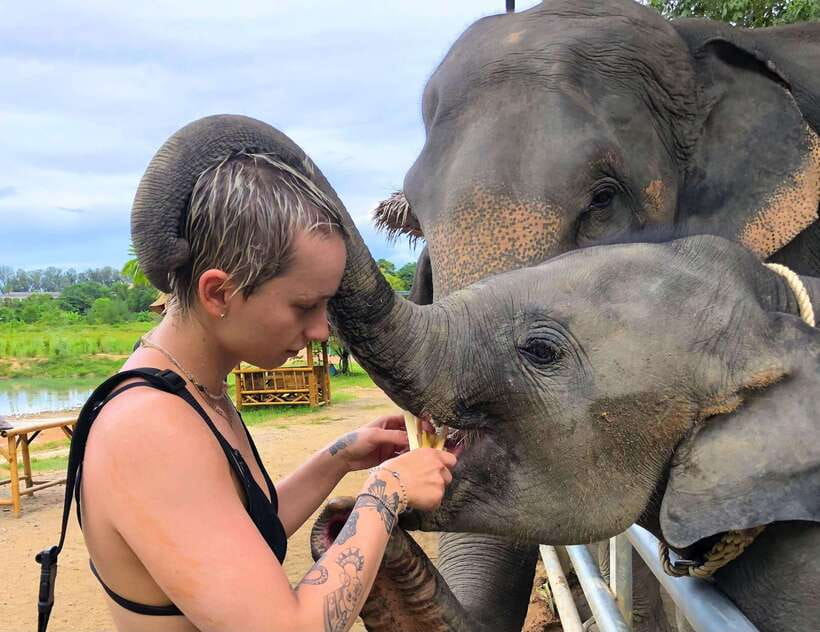 Phuket City Tour with Viewpoints, Temples & Elephant Feeding - Transport, pickup, and the pace of the day