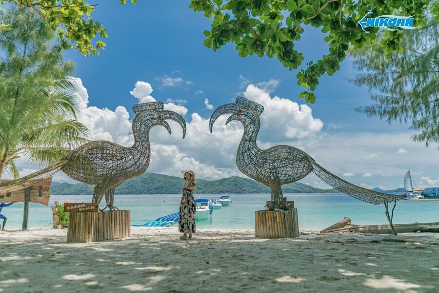 Phuket: Coral Island Day Tour by Speedboat - Snorkeling, swimming, and optional water sports