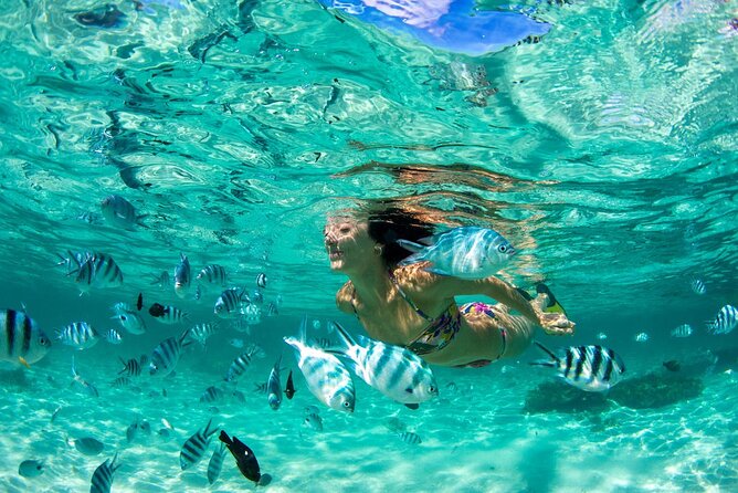 Phuket Coral Island Private Snorkeling Adventure All Inclusive - Key points before you book