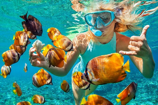 Phuket Coral Island Private Snorkeling Adventure All Inclusive - Coral Beach: the main water session