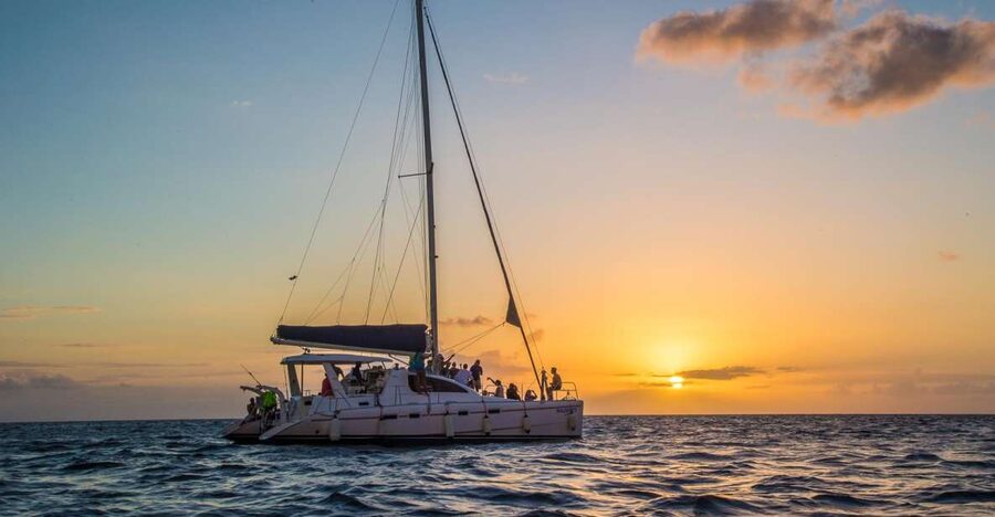 Phuket: Coral Island & Sunset Dinner by Sailing Catamaran - Three hours at Coral Island, with an important warning