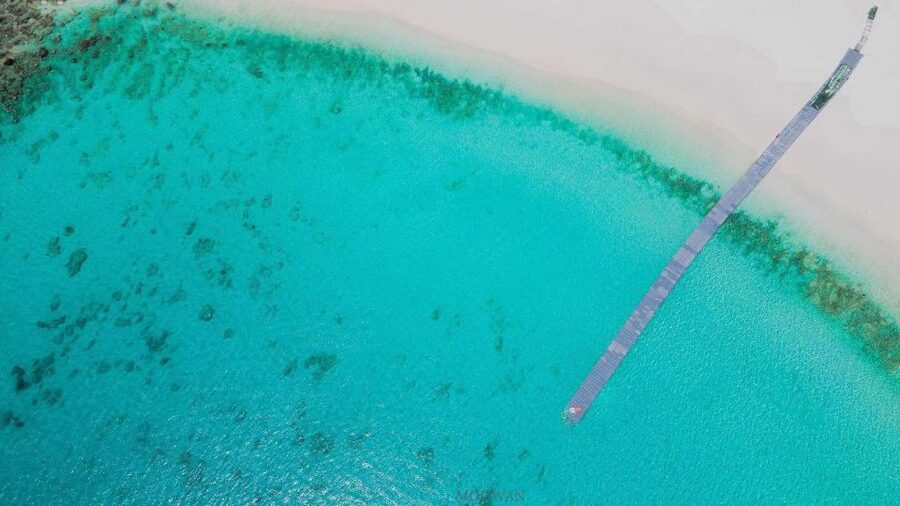 Phuket: Coral & Racha Islands Day Trip By Speedboat - Who should book this island day?