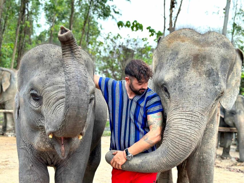 Phuket: Elephant Experience with Lunch or Dinner and Pickup - What the Phuket elephant experience costs and includes